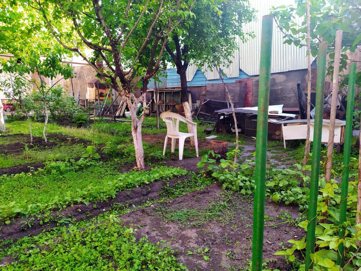 Flora'S Guest House Yerevan Exterior photo
